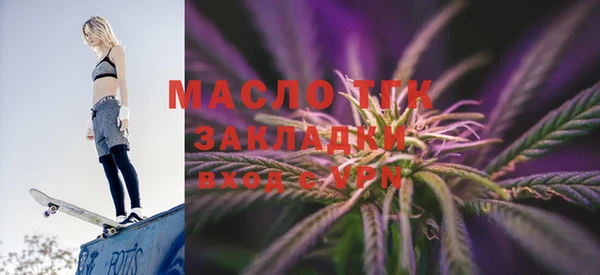 индика Заволжье