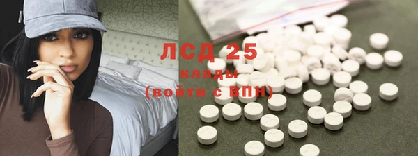 экстази Щигры