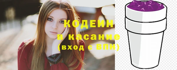 индика Заволжье