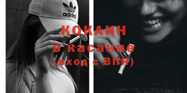 индика Заволжье
