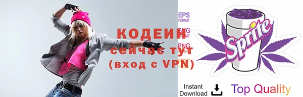 дживик Заводоуковск
