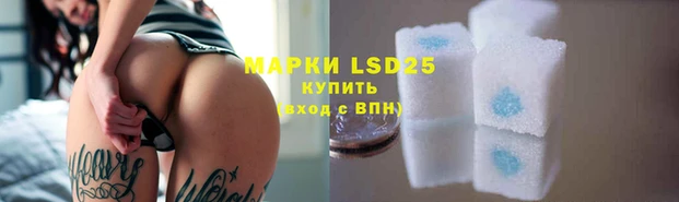 индика Заволжье