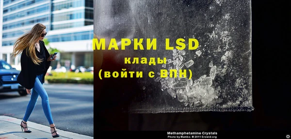 индика Заволжье