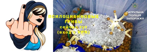 дживик Заводоуковск