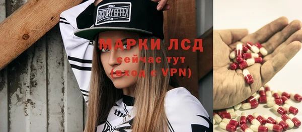 индика Заволжье