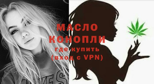 индика Заволжье