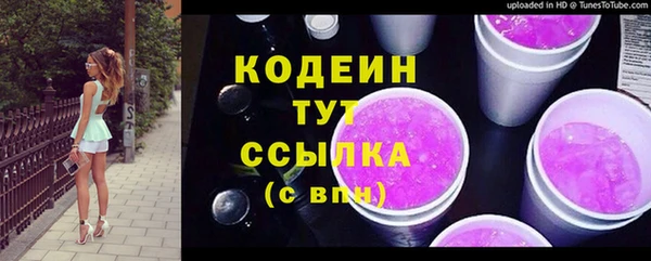 индика Заволжье